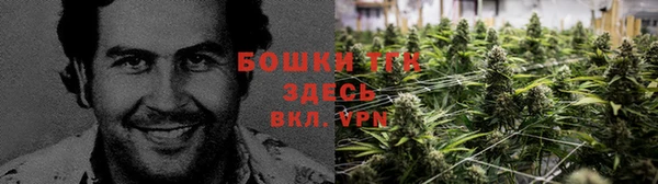 ГАЛЛЮЦИНОГЕННЫЕ ГРИБЫ Покровск